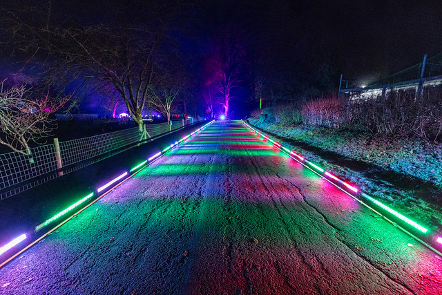 Marwell Glow Pathway