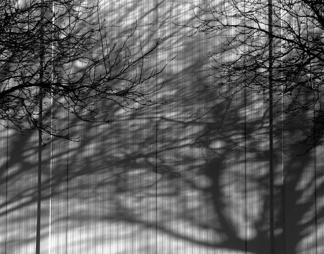 Entangled shadows