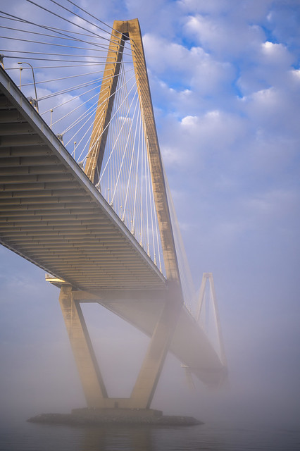 A Foggy Morning in Charleston 2024-34