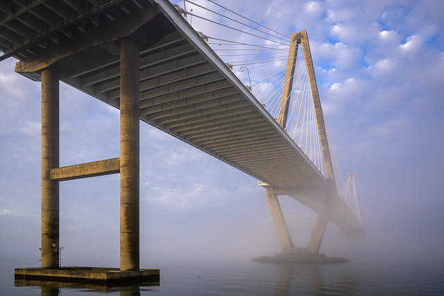 A Foggy Morning in Charleston 2024-33