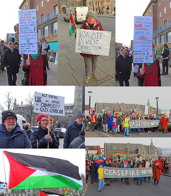 Norwich March for Palestine composite photos