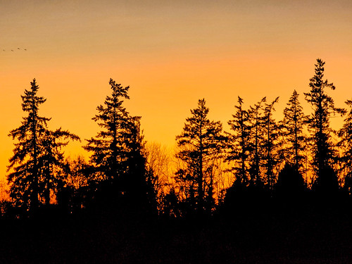 Sunset | Dryland Rd. | Canby by luciefield,