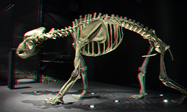 Skeleton DINO Naturalis Leiden 3D