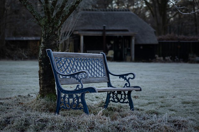 Frosty bench