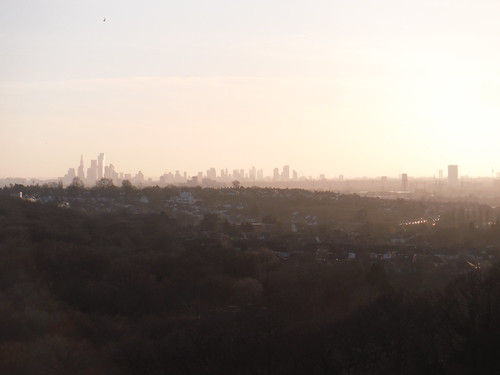 London Skyline from Yates' Meadow SWC Short Walk 58 - Chingford Circular