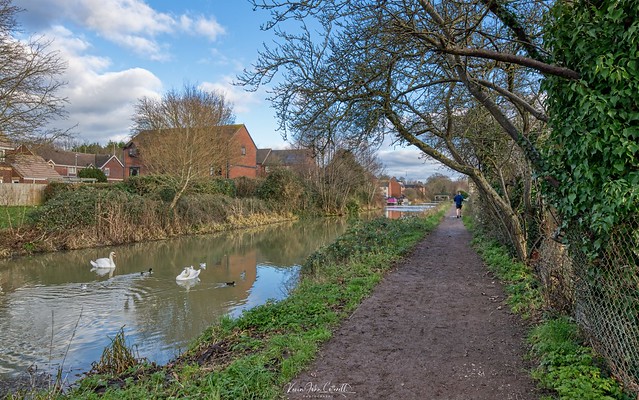 Walk Beside The Stroud Canal