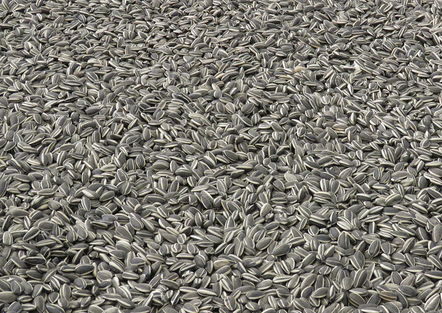 Exhibition Ai Weiwei - Kunsthal Rotterdam, the Netherlands