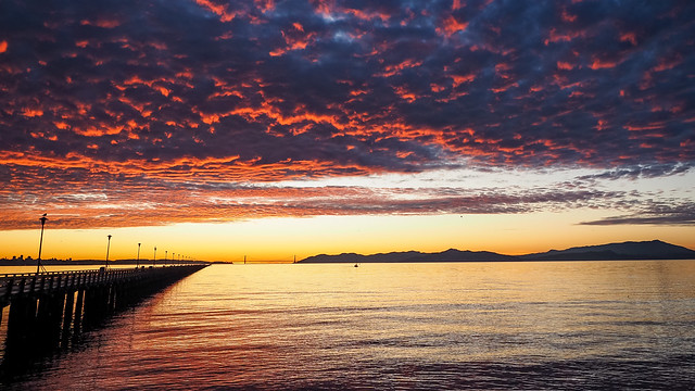 Berkeley Pier altocumulus sunset