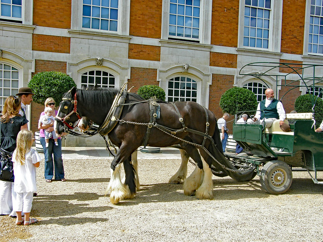 Horse drawn carriage ride at Hampton Court