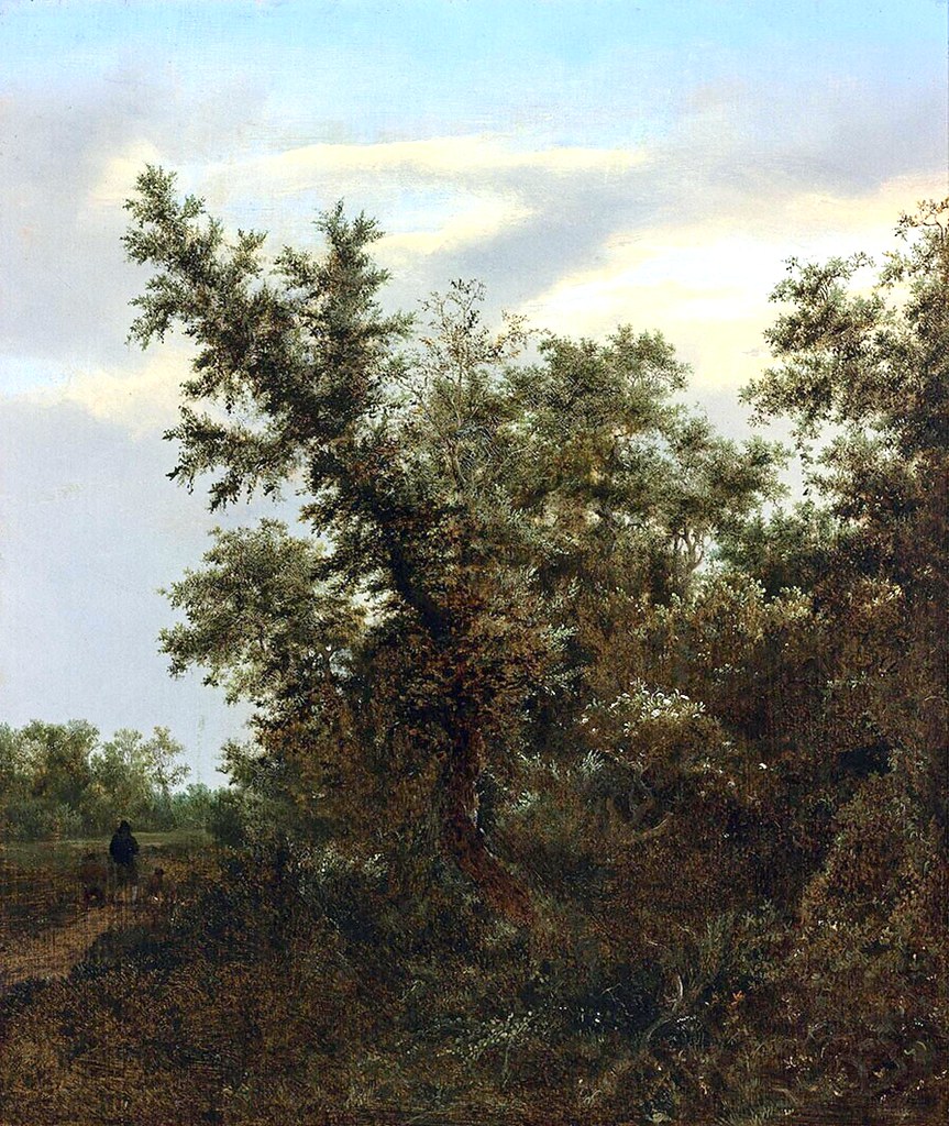Jacob van Ruisdael – Museum Bojimans van Beuningen 3193 (OK). View of a Forest (1646)