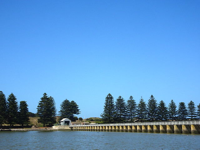 Goolwa. Part of the barrages that prevent salt water from the River Murray mouth entering Lake Alexandrina. Norfolk Island pine trees on the shore