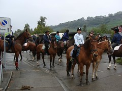 2009_Vereinsausritt