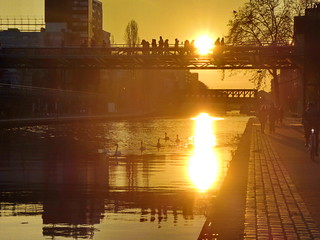 Flickr photo: 289 - Paris en décembre 2023 - des cygnes au coucher de soleil sur le canal de l'Ourcq à La Villette