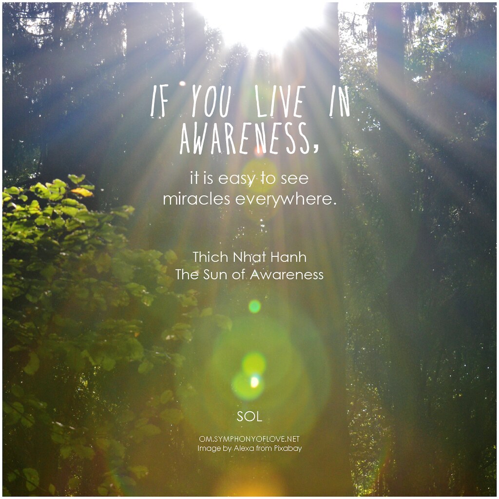 Thich Nhat Hanh If you live in awareness, it is easy to see miracles everywhere