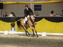 2011_Dressurtage Oberriet