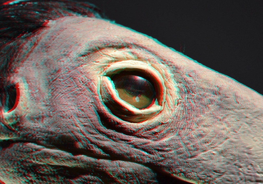 EYE Troodon Naturalis Leiden 3D
