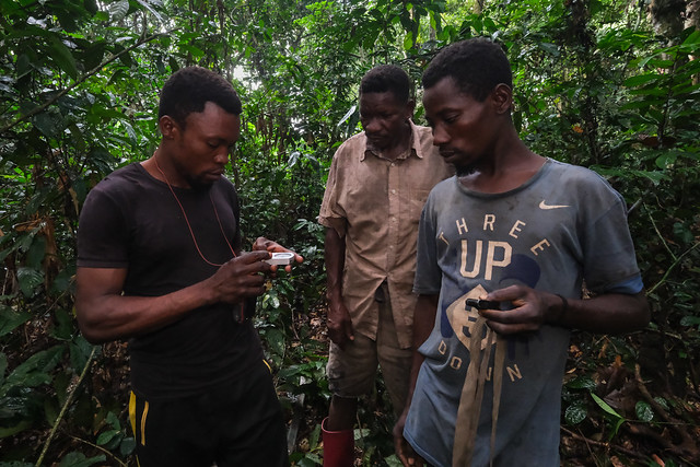 Wildmeat Value Chain in Yangambi, Democratic Republic of Congo