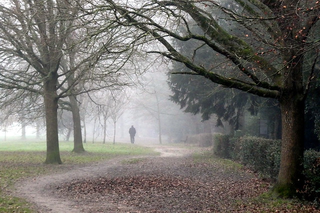 A Misty Walk In The Park