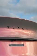 Tesla Model Y Custom Wrap -Miami-26