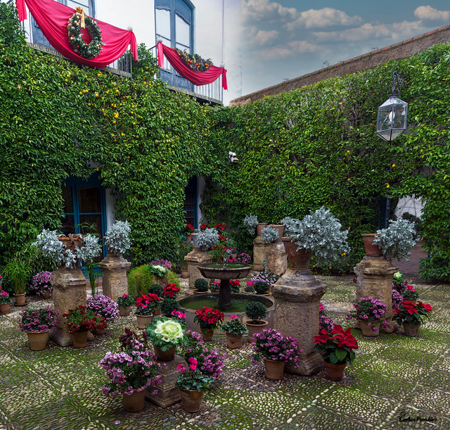 fuente-y-flores-patio-jardines-del-palacio-de-Viana-en-Cordoba