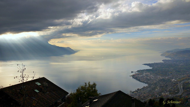 View to the Lake Geneve
