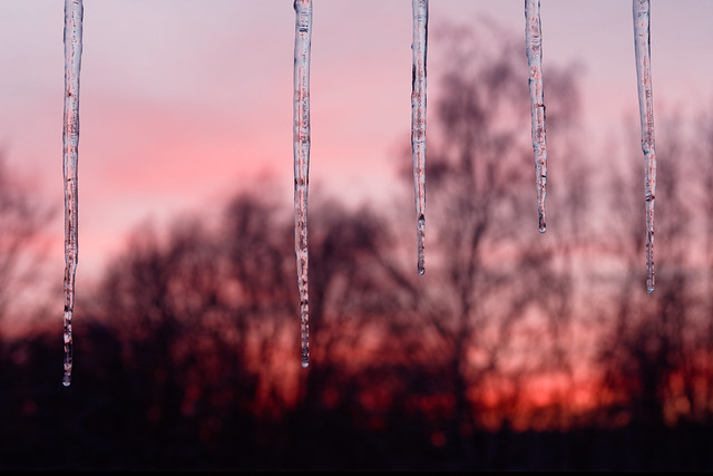 frozen_sunset