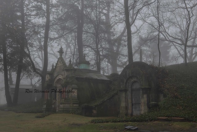 Lake View Cemetery Winter Fog 9