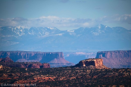 The La Sal Mountains with Island in the Sky and Junction Butte below from Observation Rock, 