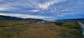 Looking Up the Hood Canal