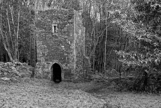 Careys Castle Clonmel