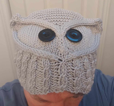 Sandi (sandima) test knit this owl hat for Joan Rowe.