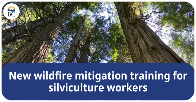 New pilot project trains workers to mitigate wildfires