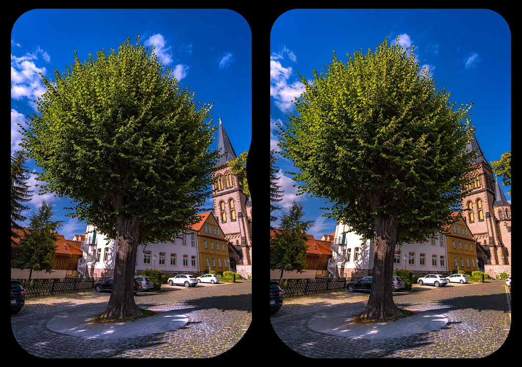 That tree 3-D / CrossView / Stereoscopy