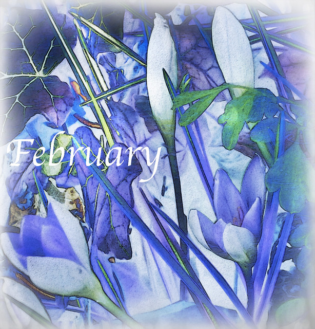 February Blues - AMG February 2024 Bookmark