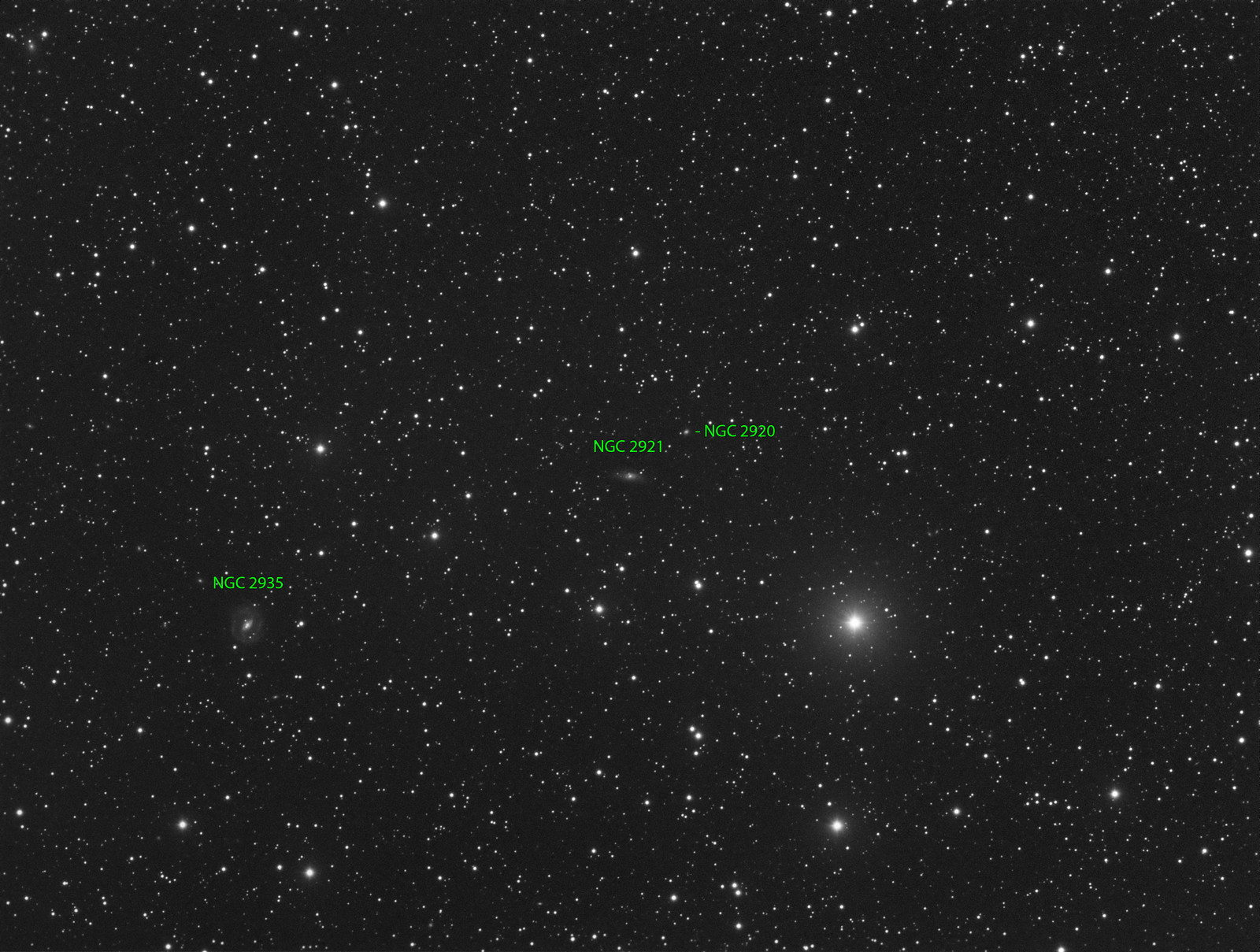 NGC 2935 - Luminance