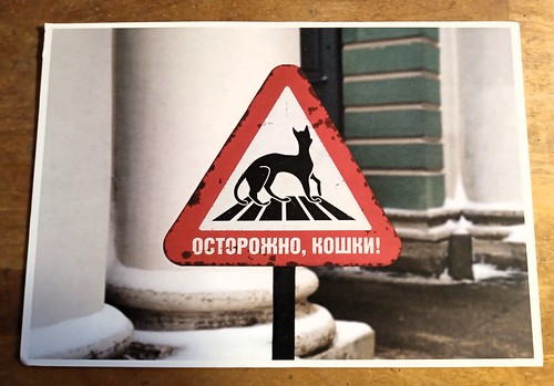Lovely cats in St Petersburg