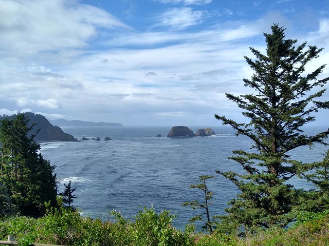 04469 View south along the coast from Cape Meares Scenic Viewpoint