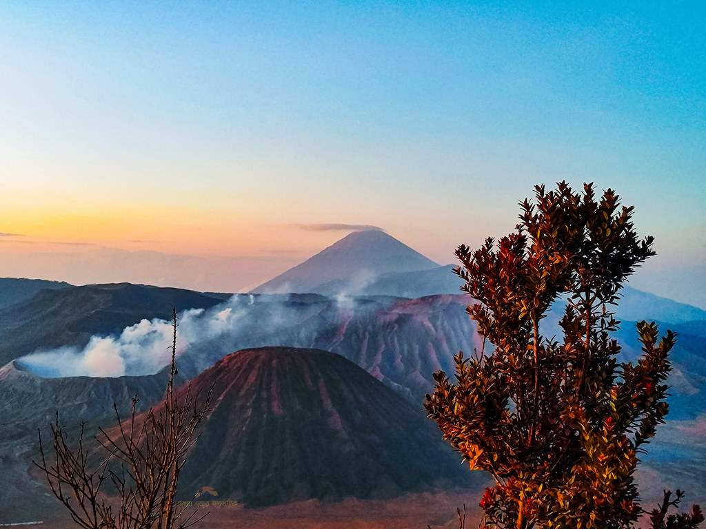 Mount Bromo Indonesia|  Dekhbo Ebar Jogot Take | দেখব এবার জগৎটাকে . . . . . .  #travel #nature