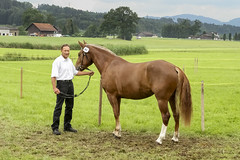 2020_Feldtest Niederbühren