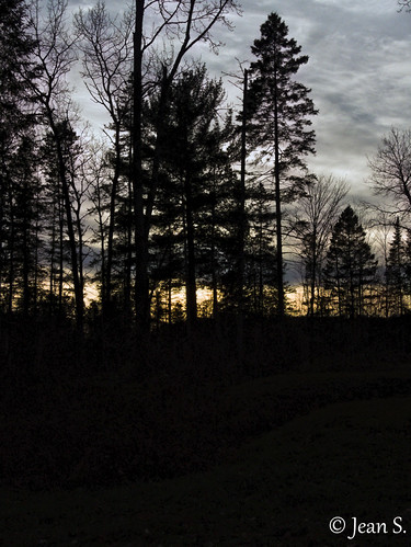 ... by Jean S.., Montauban, Québec - novembre 2023.park nature sky clouds sunset shadow silhouette outdoors