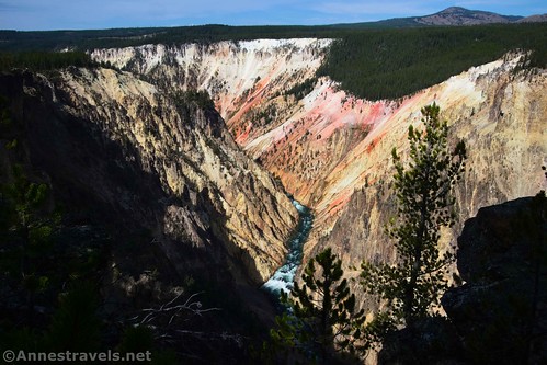 Views down into the Grand Canyon of the Yellowstone, Yellowstone National Park, Wyoming
