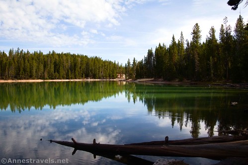 Reflections in Clear Lake, Yellowstone National Park, Wyoming