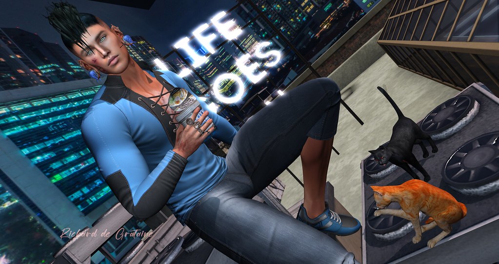 Life goes on, on the rooftops of Second Life