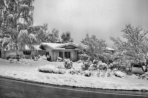 horizontal day diffusedlight overcast snowy snow snowcovered cold building home structure trees birchcreekdrive southogden utah ut windows door porchlight roof bw blackandwhite grays tones outdoors outside street pavement streetview digitalphotography hdr photomatix highdynamiucrange weepingburchtree