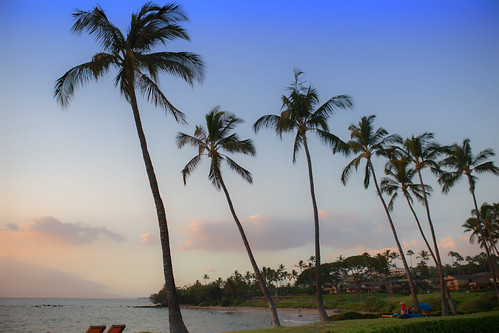 Wailea, Maui, HA, canon2470 canon5div hawaii locale location maui northamerica places unitedstates where travel vacation pacific palm resort water fun surf snorkel tree