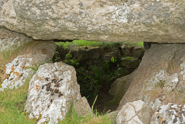 Lligwy Burial Chamber - DSC_7259a
