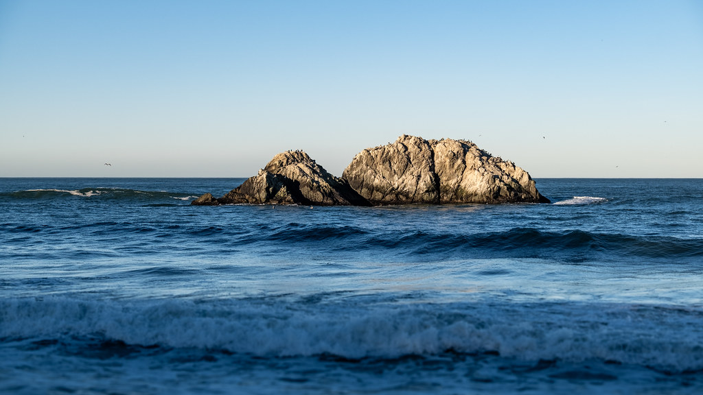 Seal Rocks, San Francisco 11/20/23