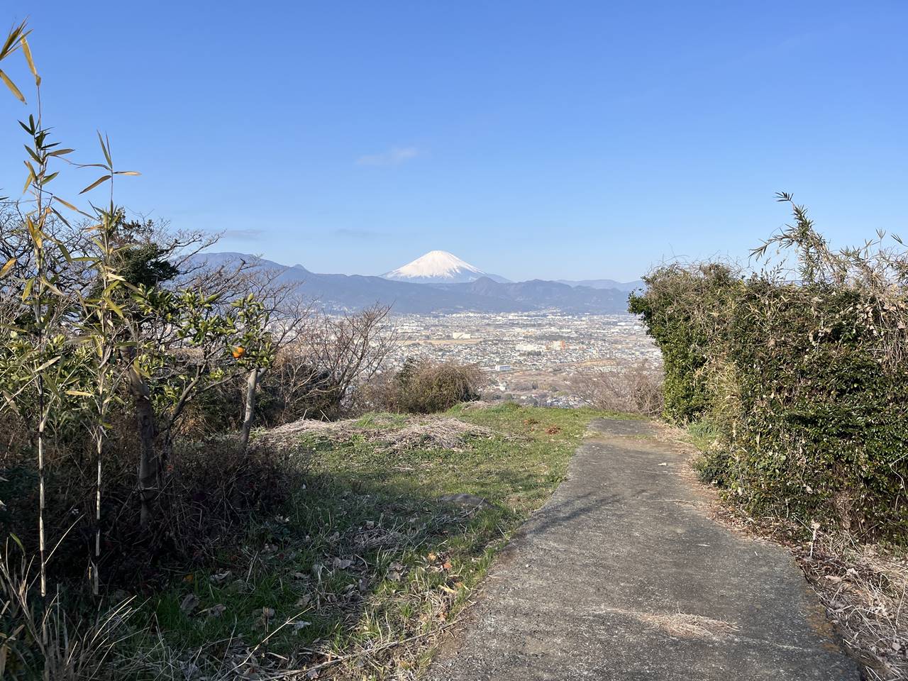 【曽我丘陵】弁天山からの富士山の展望