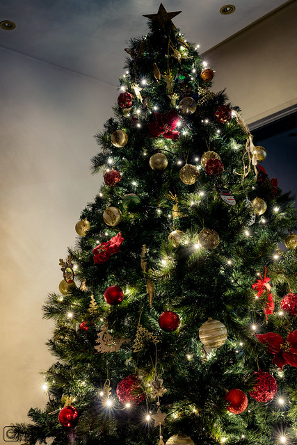 Christmas Ornaments - December 2023 (5)