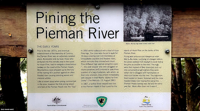 Harvesting Huon Pine from the Pieman River, Interpretive Sign, Corinna, West Coast, Tasmania